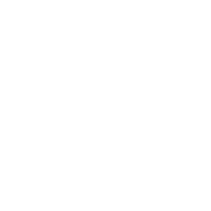 Triangle Management logo