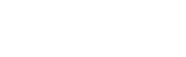 Northern Pictures logo